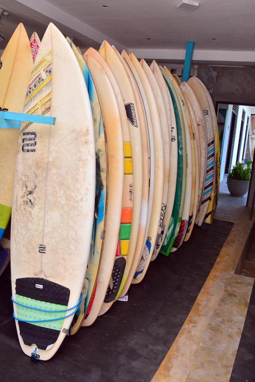 Cheeky Monkey Surf Camp Otel Weligama Dış mekan fotoğraf
