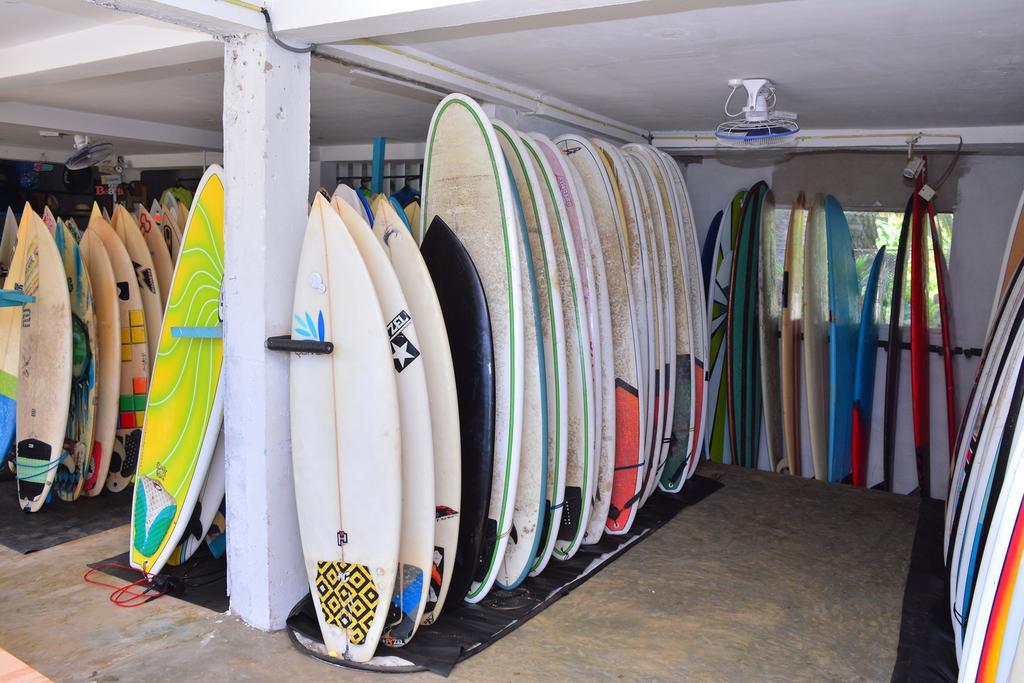 Cheeky Monkey Surf Camp Otel Weligama Dış mekan fotoğraf